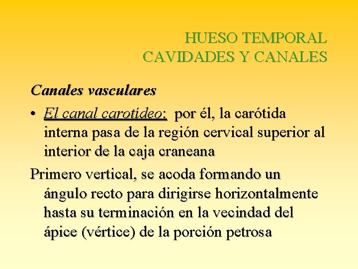 HUESO TEMPORAL CAVIDADES Y CANALES Canales vasculares • El canal carotídeo: por él, la