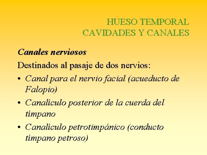 HUESO TEMPORAL CAVIDADES Y CANALES Canales nerviosos Destinados al pasaje de dos nervios: •