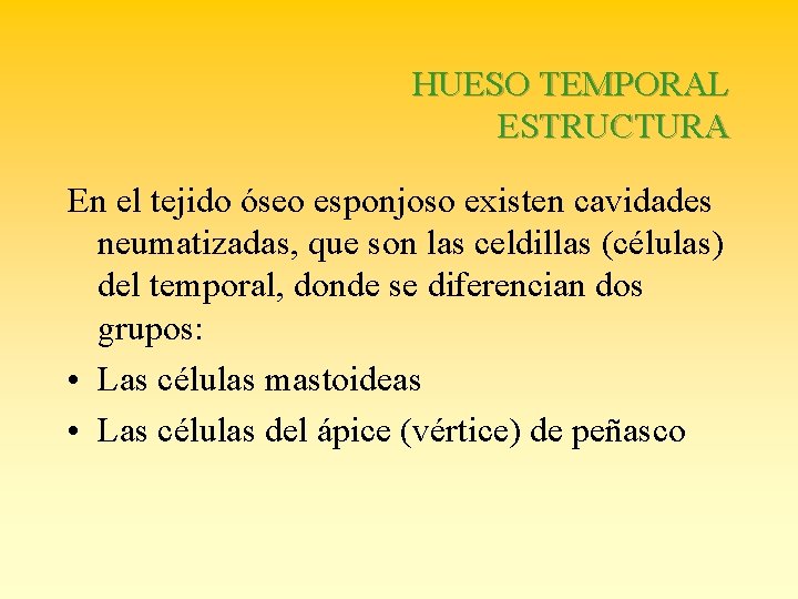 HUESO TEMPORAL ESTRUCTURA En el tejido óseo esponjoso existen cavidades neumatizadas, que son las