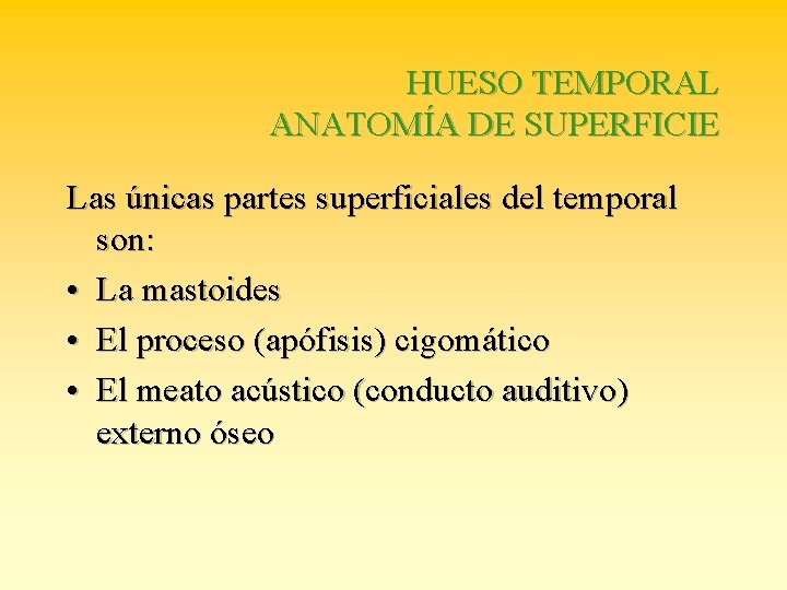 HUESO TEMPORAL ANATOMÍA DE SUPERFICIE Las únicas partes superficiales del temporal son: • La