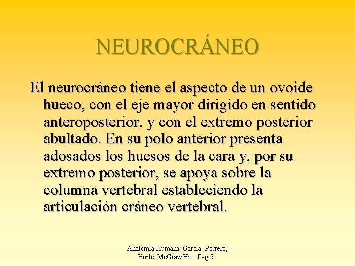 NEUROCRÁNEO El neurocráneo tiene el aspecto de un ovoide hueco, con el eje mayor