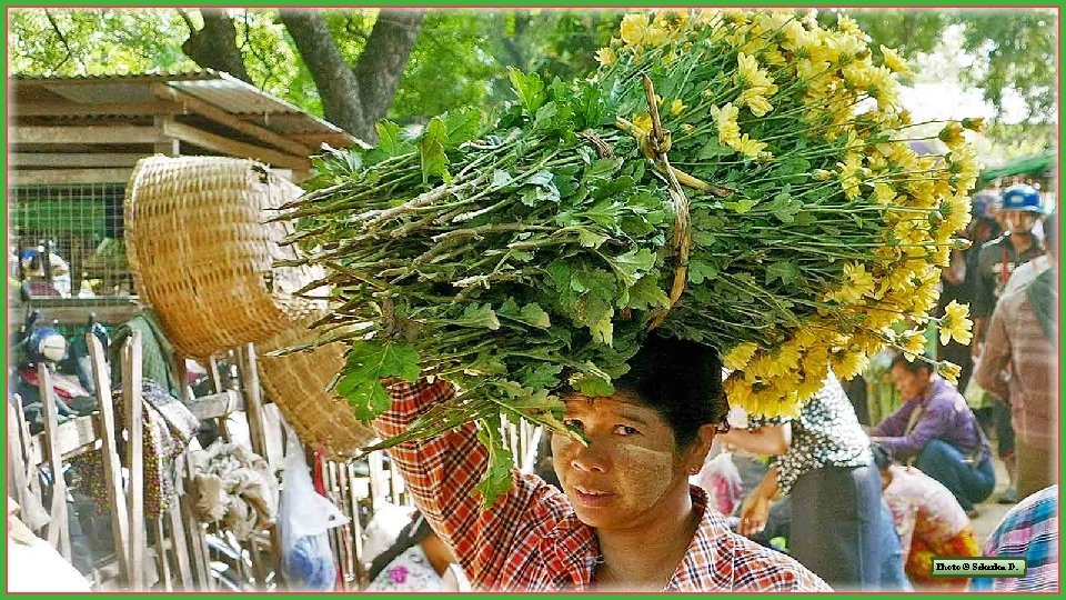 Photo © Sekerka D. Photo © Sekerka D.