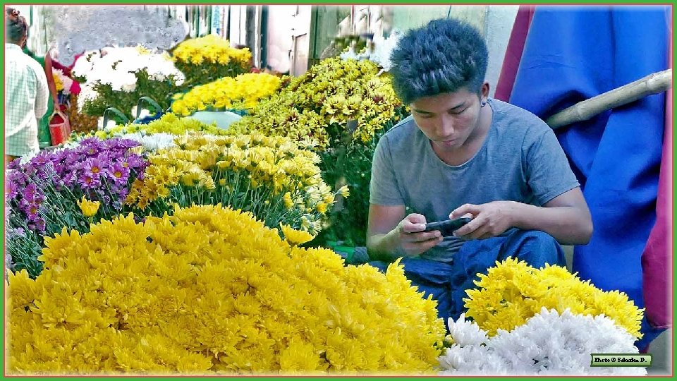 Photo © Sekerka D. Photo © Sekerka D.