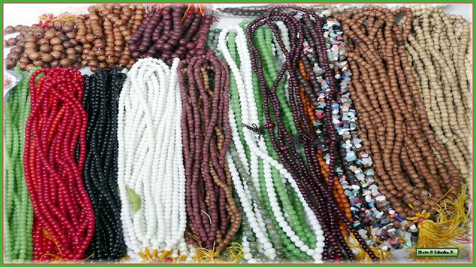 Photo © Sekerka D. Photo © Sekerka D.