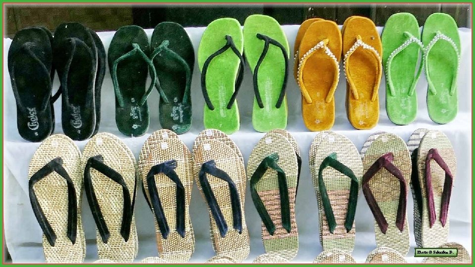 Photo © Sekerka D. Photo © Sekerka D.