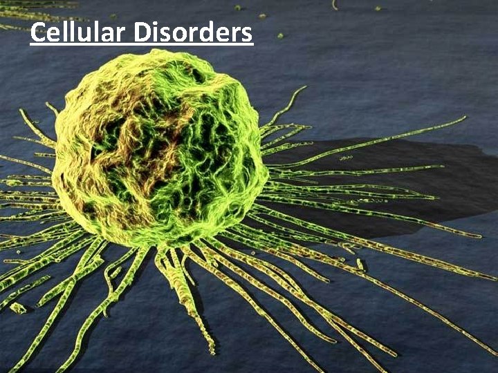Cellular Disorders 
