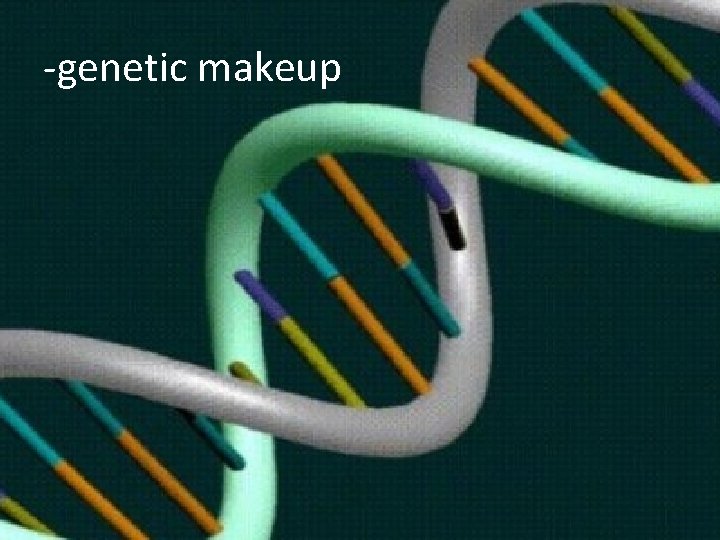 -genetic makeup 