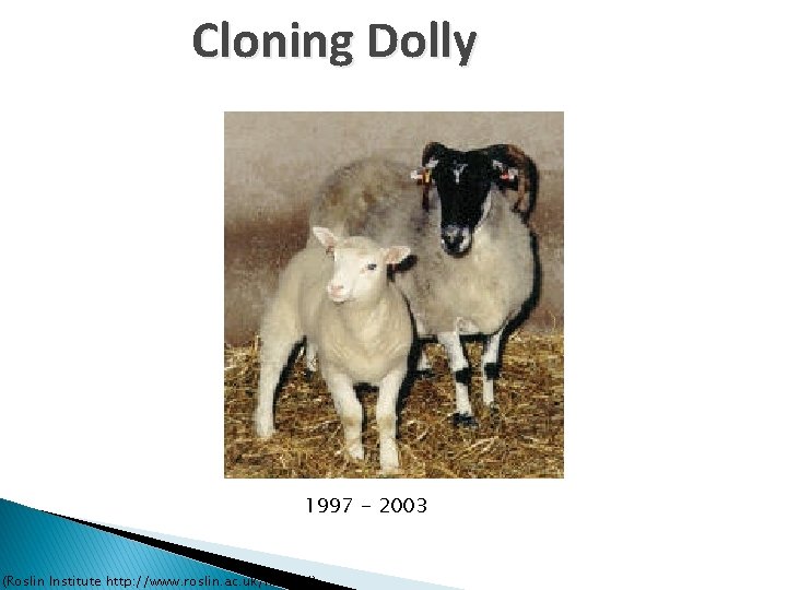 Cloning Dolly 1997 - 2003 (Roslin Institute http: //www. roslin. ac. uk/library/) 