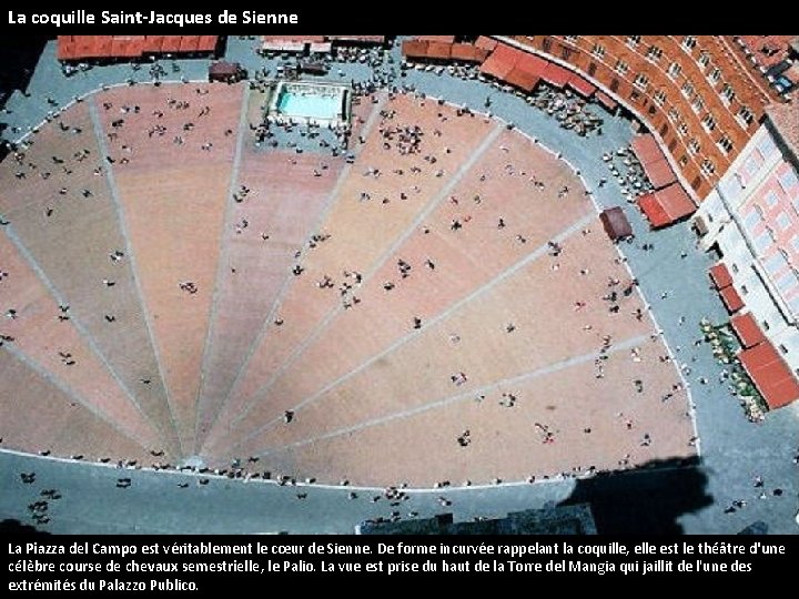 La coquille Saint-Jacques de Sienne La Piazza del Campo est véritablement le cœur de