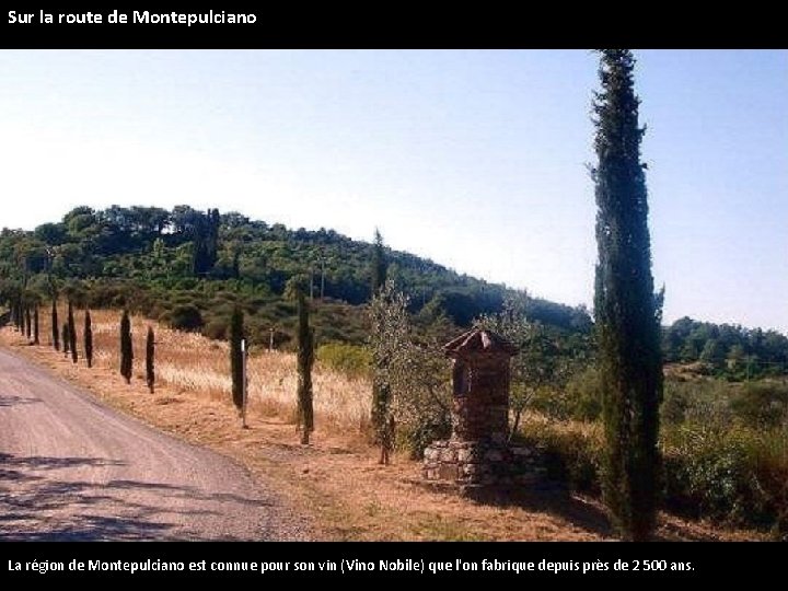 Sur la route de Montepulciano La région de Montepulciano est connue pour son vin