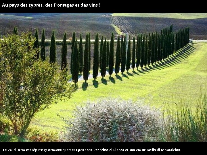 Au pays des cyprès, des fromages et des vins ! Le Val d'Orcia est
