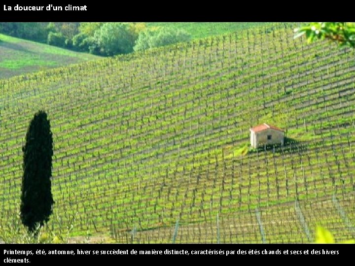 La douceur d'un climat Printemps, été, automne, hiver se succèdent de manière distincte, caractérisés