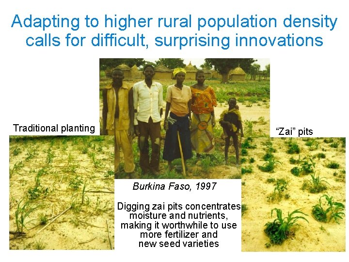 Adapting to higher rural population density calls for difficult, surprising innovations Traditional planting “Zai”