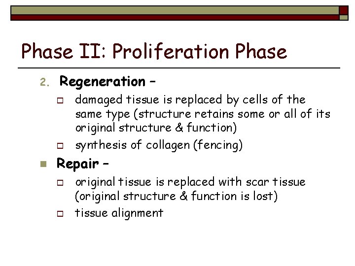 Phase II: Proliferation Phase 2. Regeneration – o o n damaged tissue is replaced