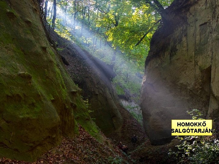 Dia egy homokköves képről ide. HOMOKKŐ SALGÓTARJÁN 