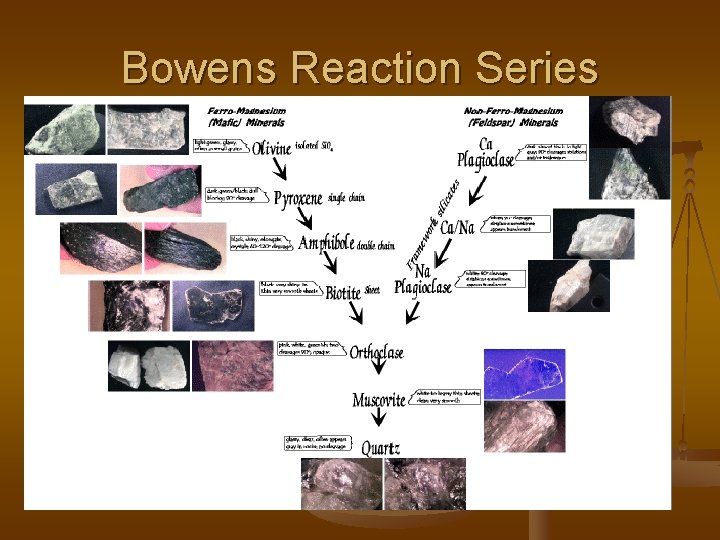 Bowens Reaction Series 