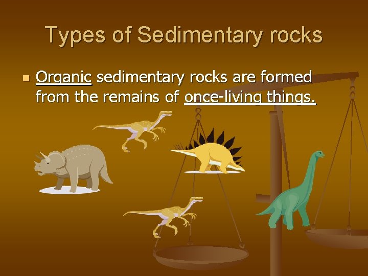 Types of Sedimentary rocks n Organic sedimentary rocks are formed from the remains of