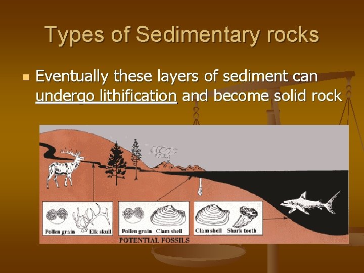 Types of Sedimentary rocks n Eventually these layers of sediment can undergo lithification and