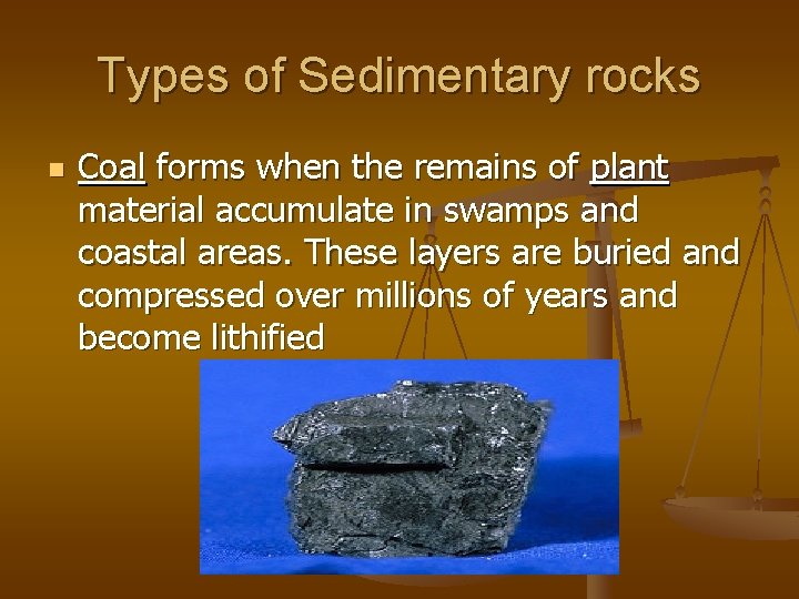 Types of Sedimentary rocks n Coal forms when the remains of plant material accumulate