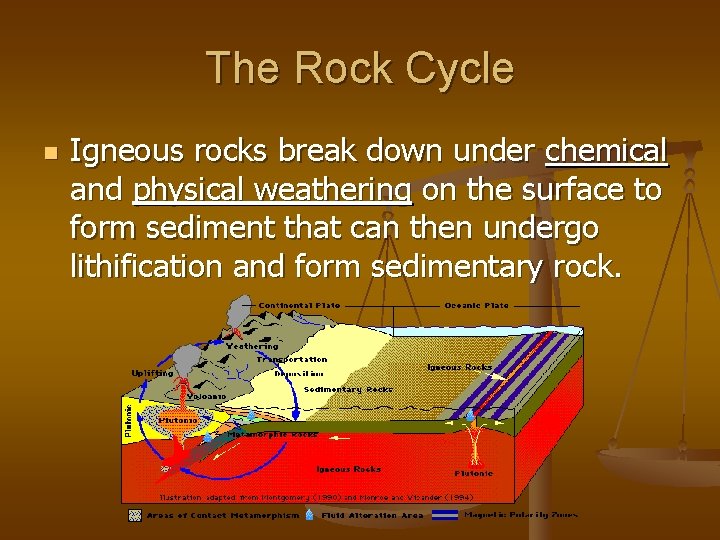 The Rock Cycle n Igneous rocks break down under chemical and physical weathering on