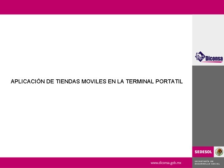 APLICACIÓN DE TIENDAS MOVILES EN LA TERMINAL PORTATIL 
