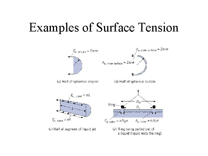 Examples of Surface Tension 