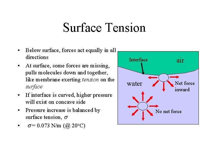 Surface Tension • Below surface, forces act equally in all directions • At surface,