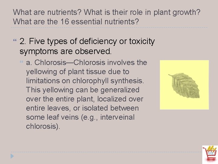 What are nutrients? What is their role in plant growth? What are the 16
