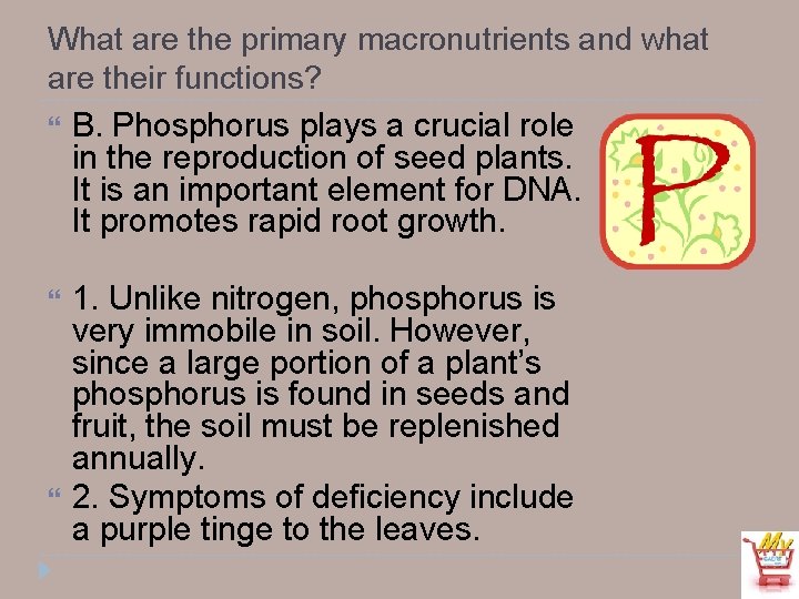 What are the primary macronutrients and what are their functions? B. Phosphorus plays a