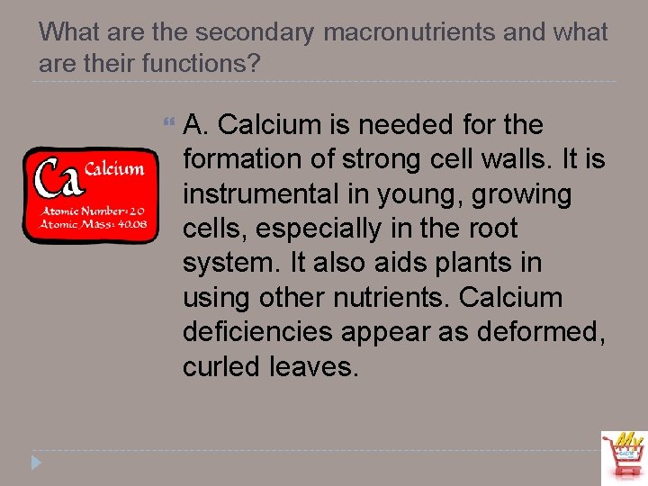 What are the secondary macronutrients and what are their functions? A. Calcium is needed
