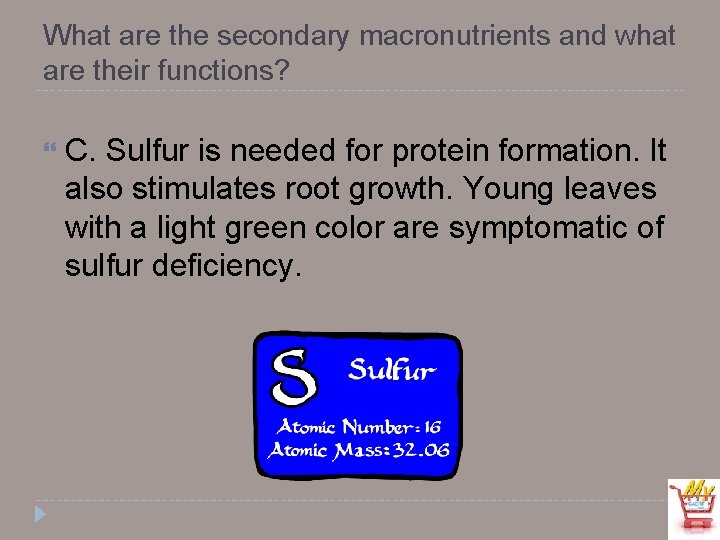 What are the secondary macronutrients and what are their functions? C. Sulfur is needed