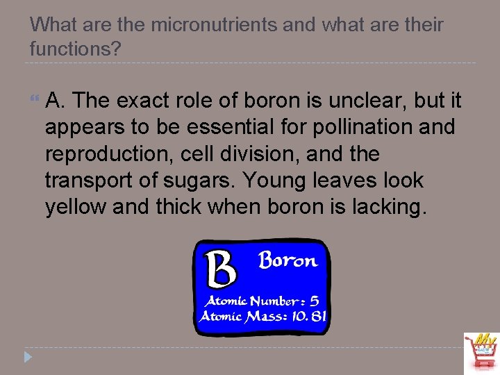What are the micronutrients and what are their functions? A. The exact role of