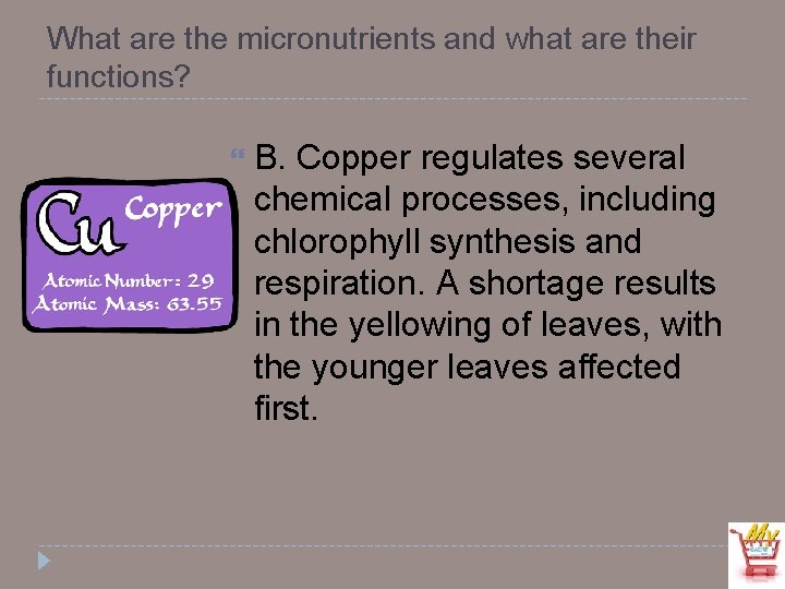 What are the micronutrients and what are their functions? B. Copper regulates several chemical
