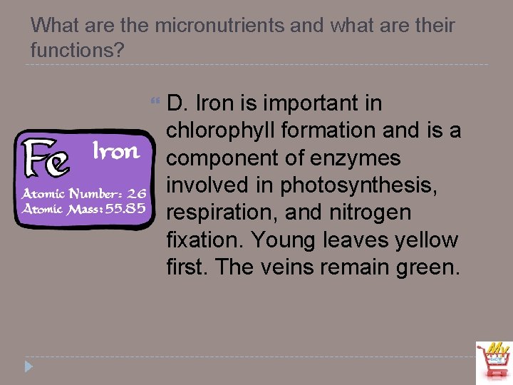 What are the micronutrients and what are their functions? D. Iron is important in