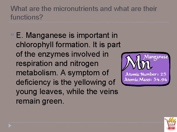 What are the micronutrients and what are their functions? E. Manganese is important in