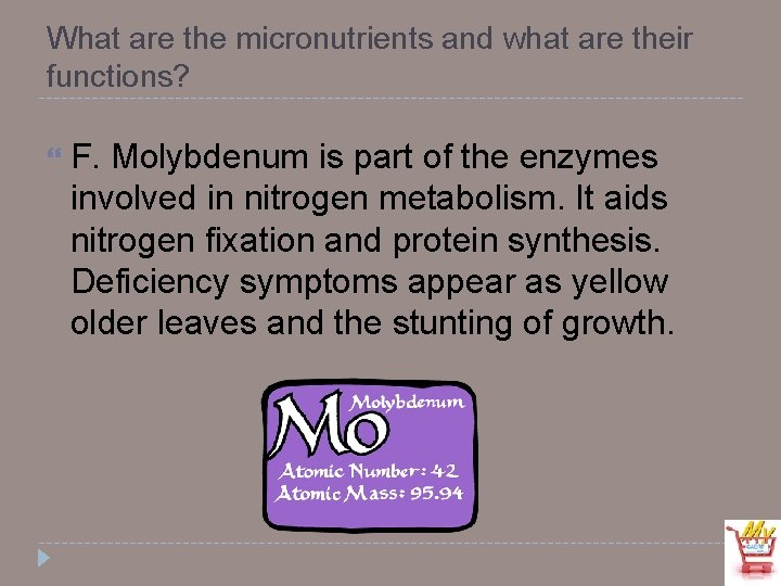 What are the micronutrients and what are their functions? F. Molybdenum is part of