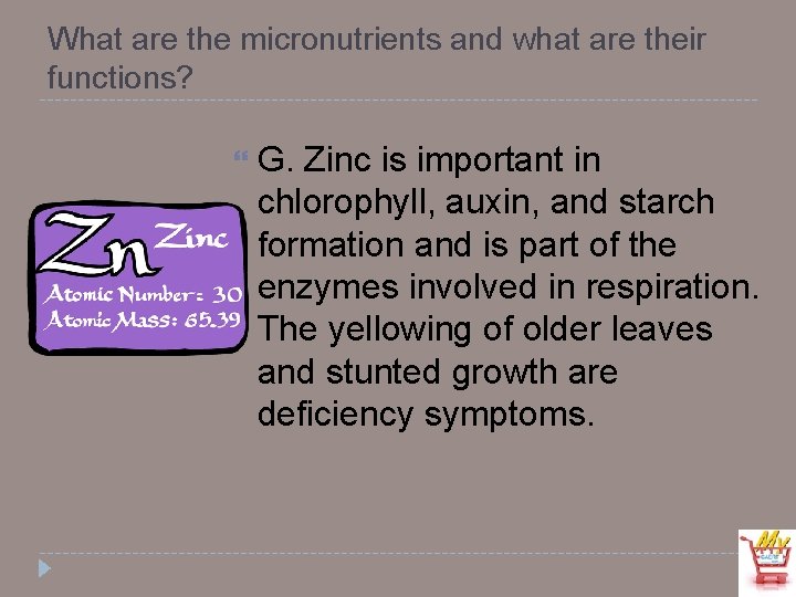 What are the micronutrients and what are their functions? G. Zinc is important in
