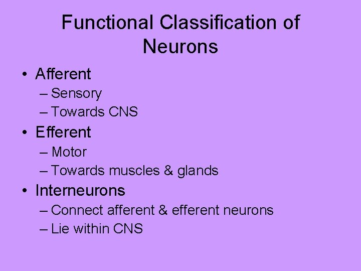 Functional Classification of Neurons • Afferent – Sensory – Towards CNS • Efferent –