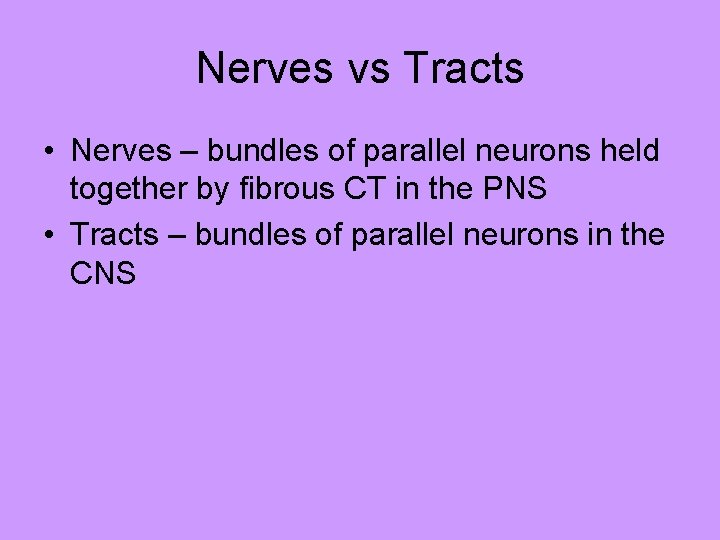 Nerves vs Tracts • Nerves – bundles of parallel neurons held together by fibrous
