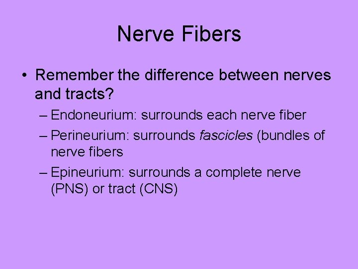 Nerve Fibers • Remember the difference between nerves and tracts? – Endoneurium: surrounds each
