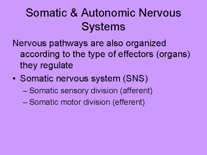 Somatic & Autonomic Nervous Systems Nervous pathways are also organized according to the type