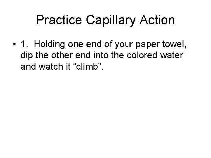 Practice Capillary Action • 1. Holding one end of your paper towel, dip the