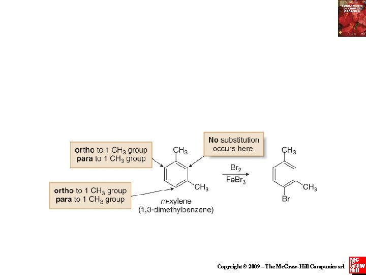 Copyright © 2009 – The Mc. Graw-Hill Companies srl 