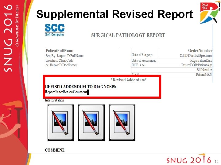 Supplemental Revised Report 15 