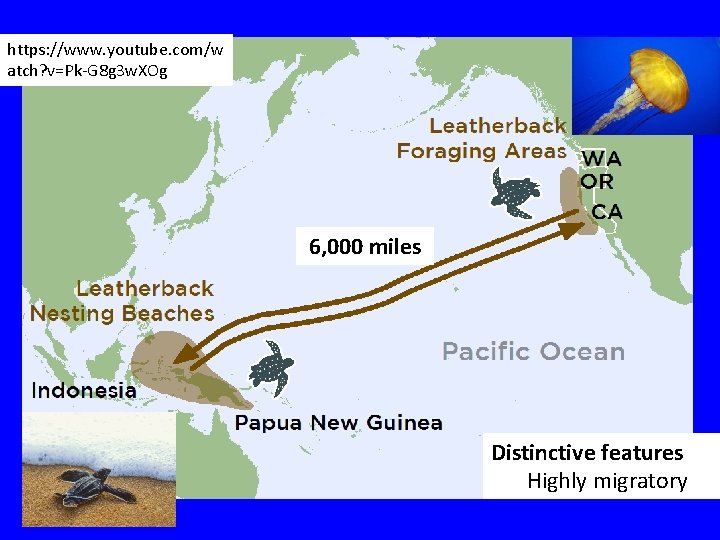 https: //www. youtube. com/w atch? v=Pk-G 8 g 3 w. XOg 6, 000 miles