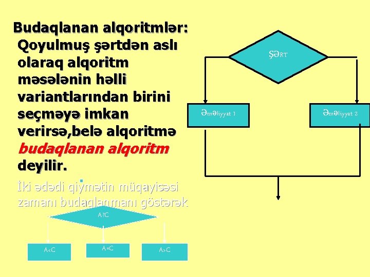 Budaqlanan alqoritmlər: Qoyulmuş şərtdən aslı olaraq alqoritm məsələnin həlli variantlarından birini seçməyə imkan verirsə,