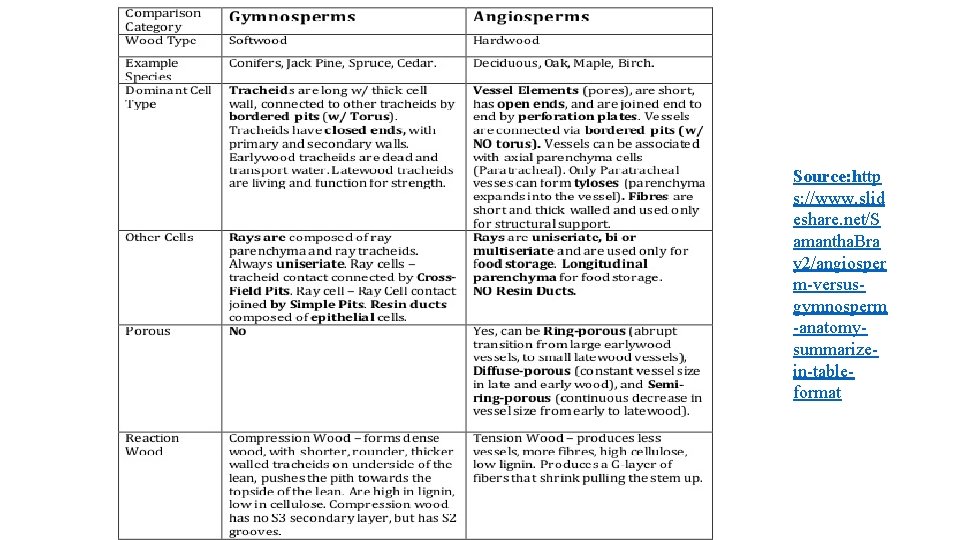 Source: http s: //www. slid eshare. net/S amantha. Bra y 2/angiosper m-versusgymnosperm -anatomysummarizein-tableformat 