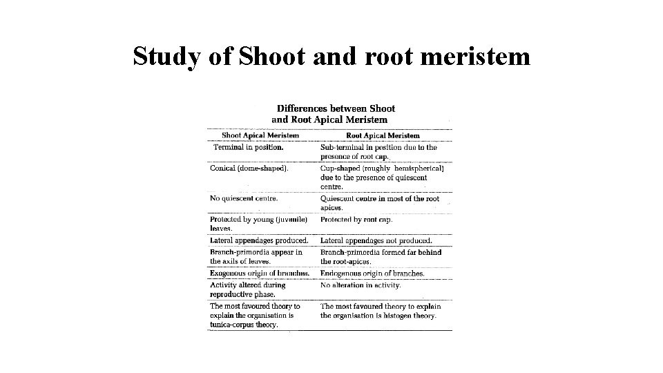 Study of Shoot and root meristem 