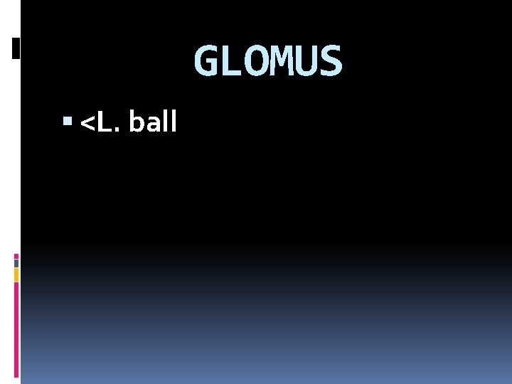 GLOMUS <L. ball 