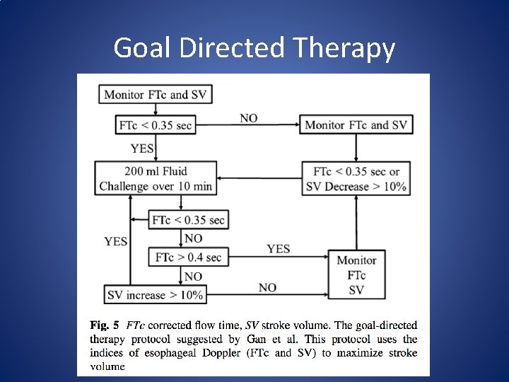 Goal Directed Therapy 